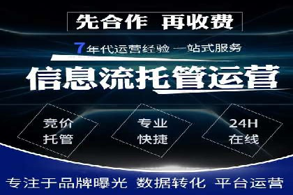 某某SEM团队成功提升网站流量与转化率的实战经验